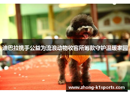 迪巴拉携手公益为流浪动物收容所筹款守护温暖家园