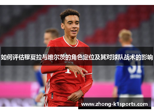 如何评估穆夏拉与维尔茨的角色定位及其对球队战术的影响