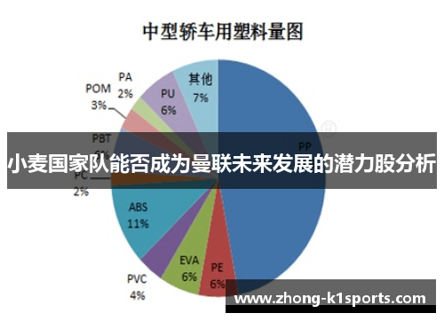 小麦国家队能否成为曼联未来发展的潜力股分析