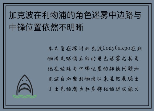 加克波在利物浦的角色迷雾中边路与中锋位置依然不明晰
