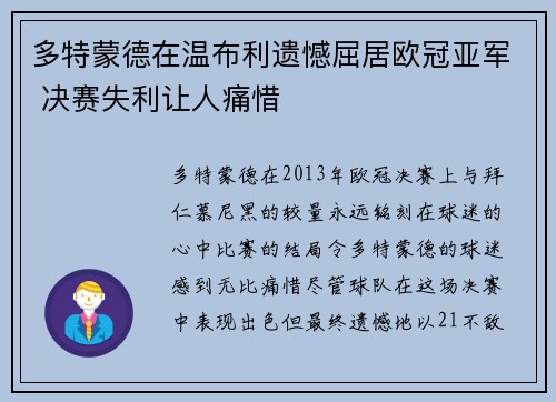 多特蒙德在温布利遗憾屈居欧冠亚军 决赛失利让人痛惜 多特蒙德在温布利遗憾屈居欧冠亚军 决赛失利让人痛惜